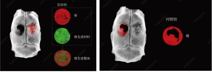 微焦点CT成像(图3)