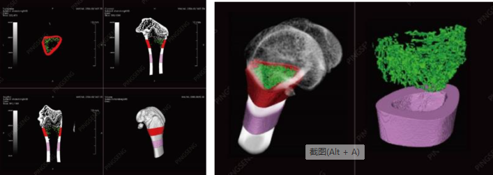 微焦点CT成像(图2)